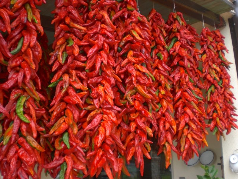 La treccia di peperoncino calabrese: bella e spettacolare, oltre che buona!!