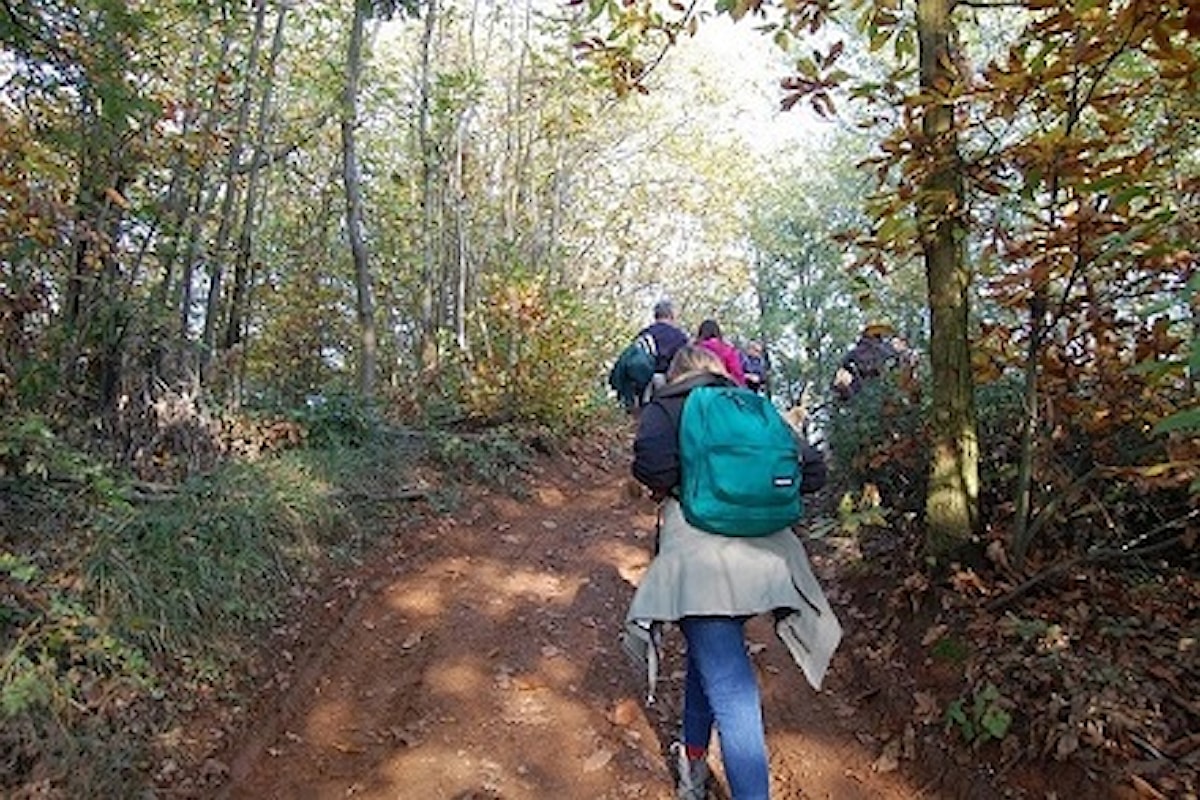 Quattro passi tra le foglie d'autunno, domenica 10 novembre scopriamo con Calyx le meraviglie del foliage in Oltrepo Pavese