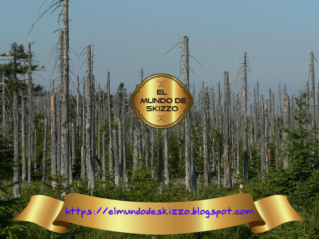 Elementos perturbadores del medio ambiente: la preocupación por la lluvia ácida.