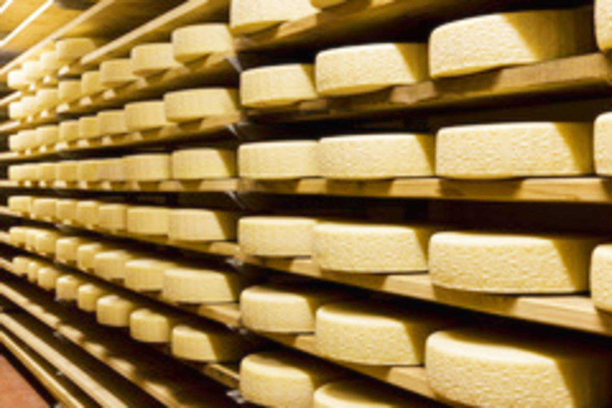 Ancora più gusto con la realtà aumentata del formaggio Piave dop