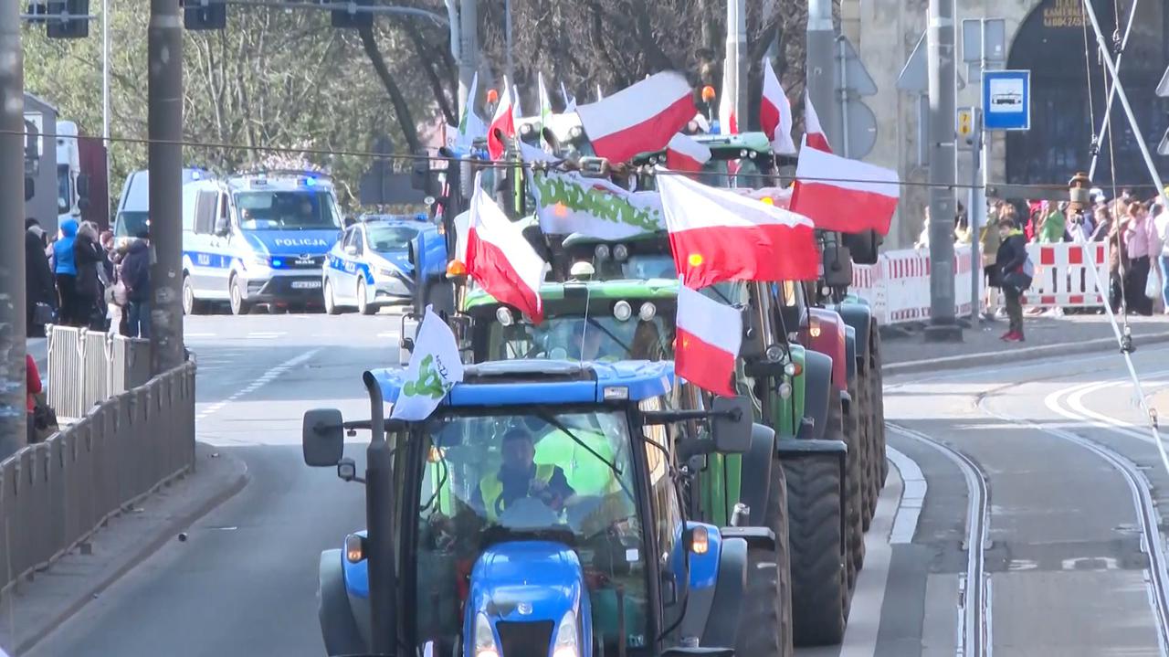 Dimissioni del Ministro dell’Agricoltura polacco a seguito della crisi del grano ucraino