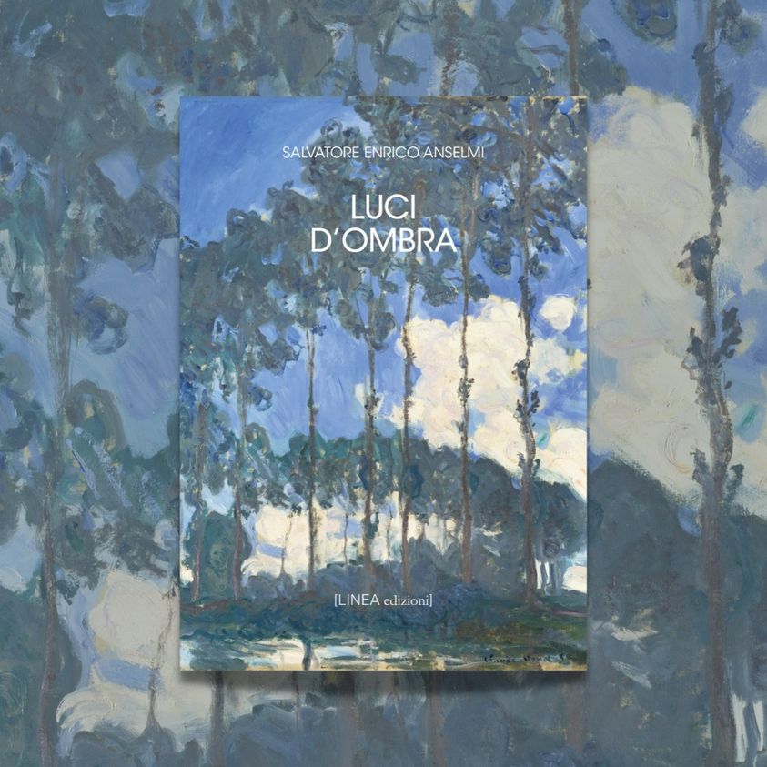 Luci d'ombra, il nuovo libro dello scrittore Salvatore Enrico Anselmi