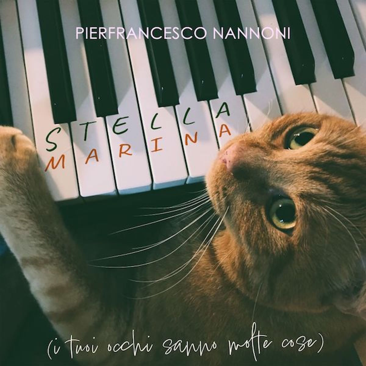 Pierfrancesco Nannoni - “Stella marina (i tuoi occhi sanno molte cose)”