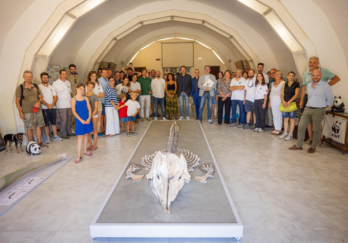 A Casa Pelagos nell'Oasi WWF di Orbetello inaugurata l'installazione di uno scheletro di capodoglio spiaggiatosi a Ostia nel 2019