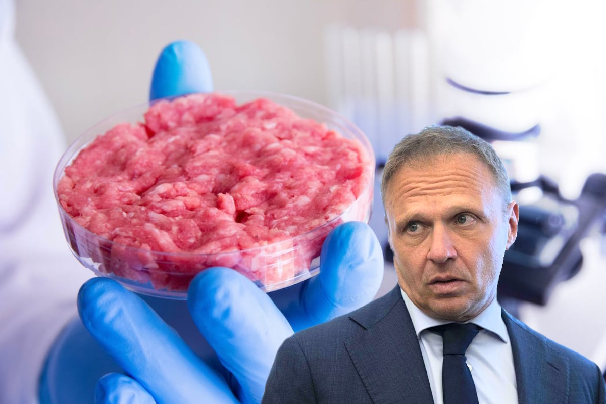 La Commissione Ue ha (indirettamente) bocciato l'assurda legge Lollobrigida sul divieto di produzione e commercializzazione della carne coltivata in Italia