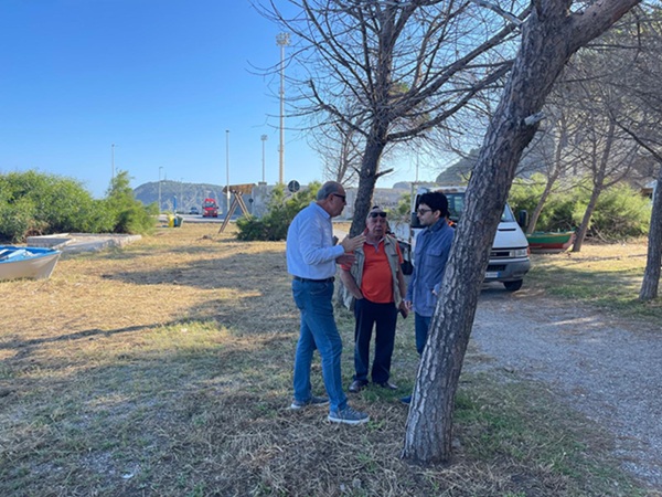 Milazzo (ME) - Interventi di bonifica e potatura degli alberi nella riviera di Ponente