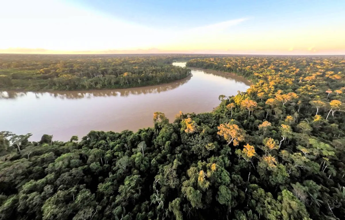 SOS foresta amazzonica: potremo perderla in modo irreversibile entro i prossimi 15 anni