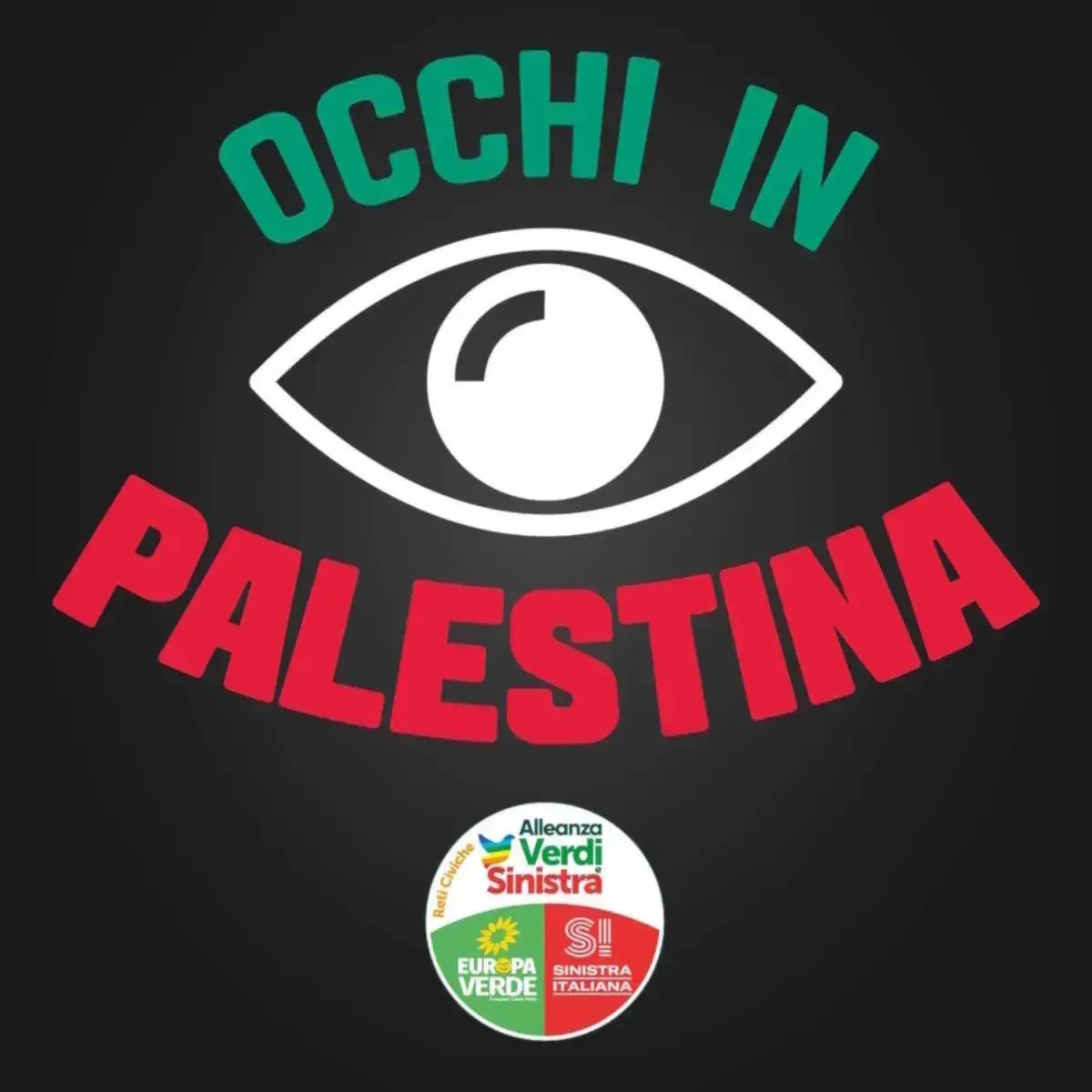 OCCHI IN PALESTINA: la missione di AVS è finita ma non si è conclusa...