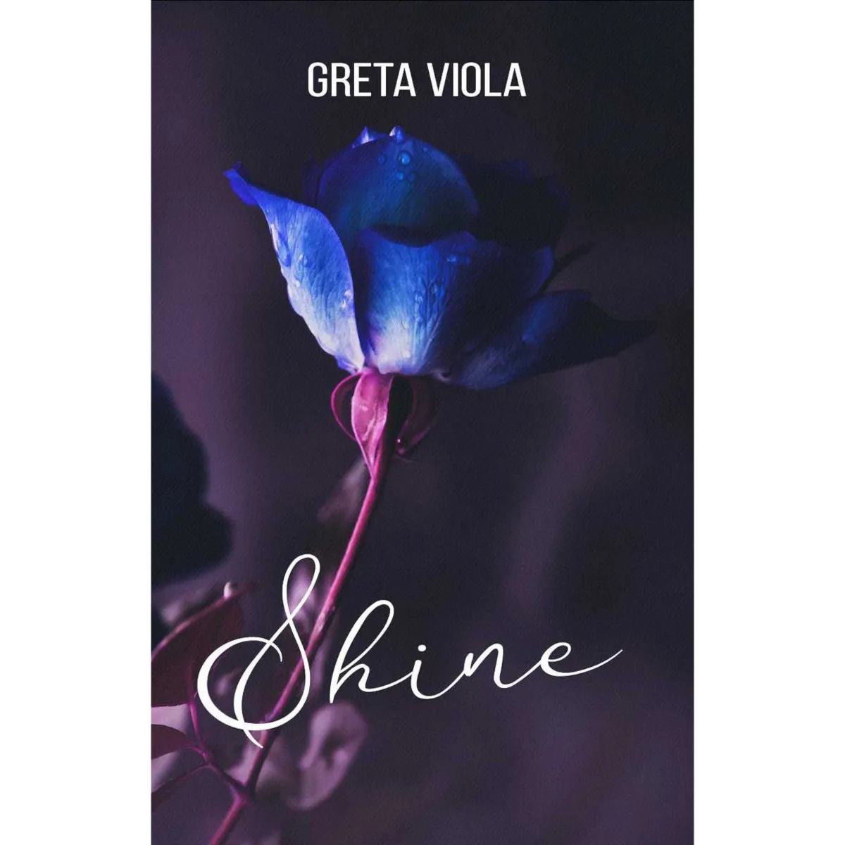 Greta Viola pubblica il romanzo “Shine”