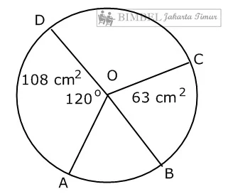 scienza e tecnologia per bambini lezioni di matematica domande pratiche a scelta multipla nella matematica della scuola elementare, relative al calcolo della lunghezza dell'arco dell'area, della.....