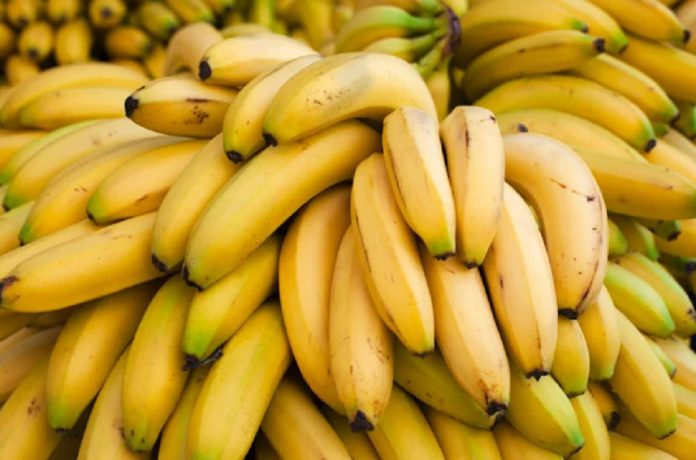Banane: forse trovata una strada per salvarle dall’estinzione
