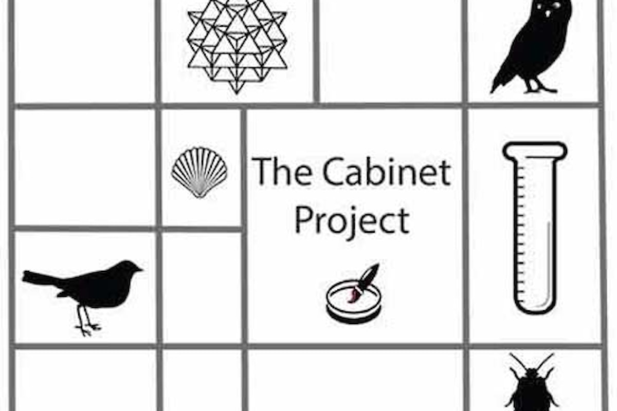Arte - Italiani in mostra nel mondo: The Cabinet Project