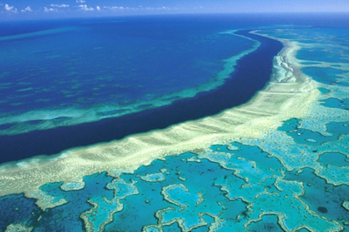 Barriera Corallina e buco nell’ozono: lo sbiancamento è un segno
