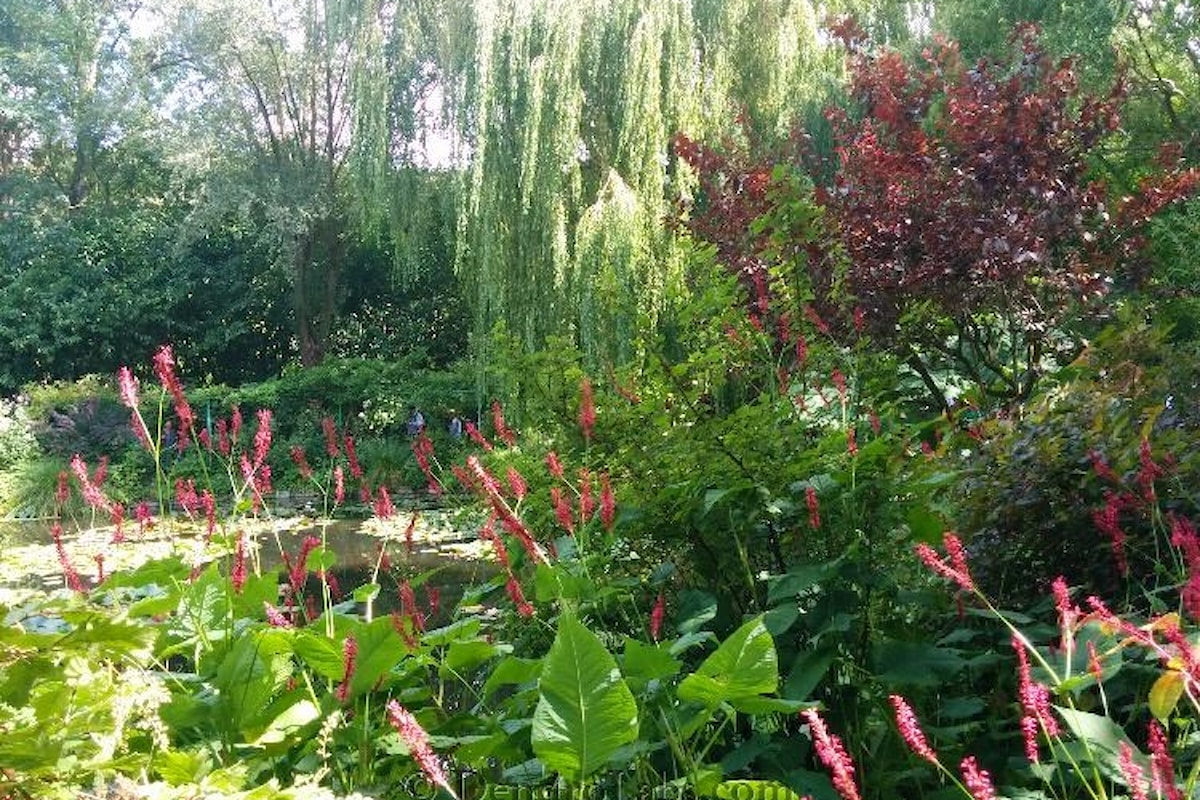 Alla scoperta del giardino di Monet presso la tenuta di Giverny