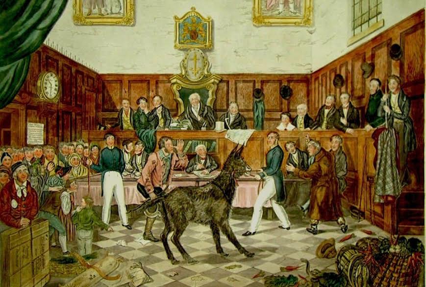 Animali nel codice civile: cosa cambierebbe?