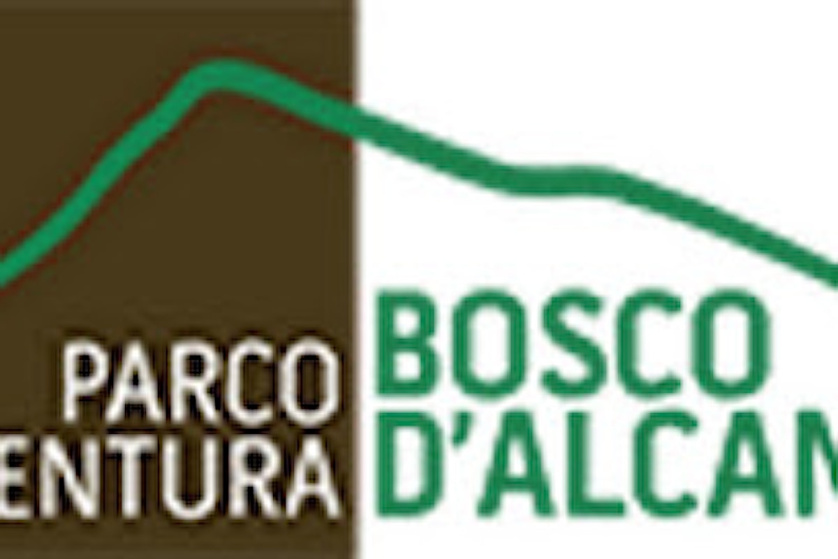 Biglietti Scontati per il Parco Avventura Bosco d'Alcamo