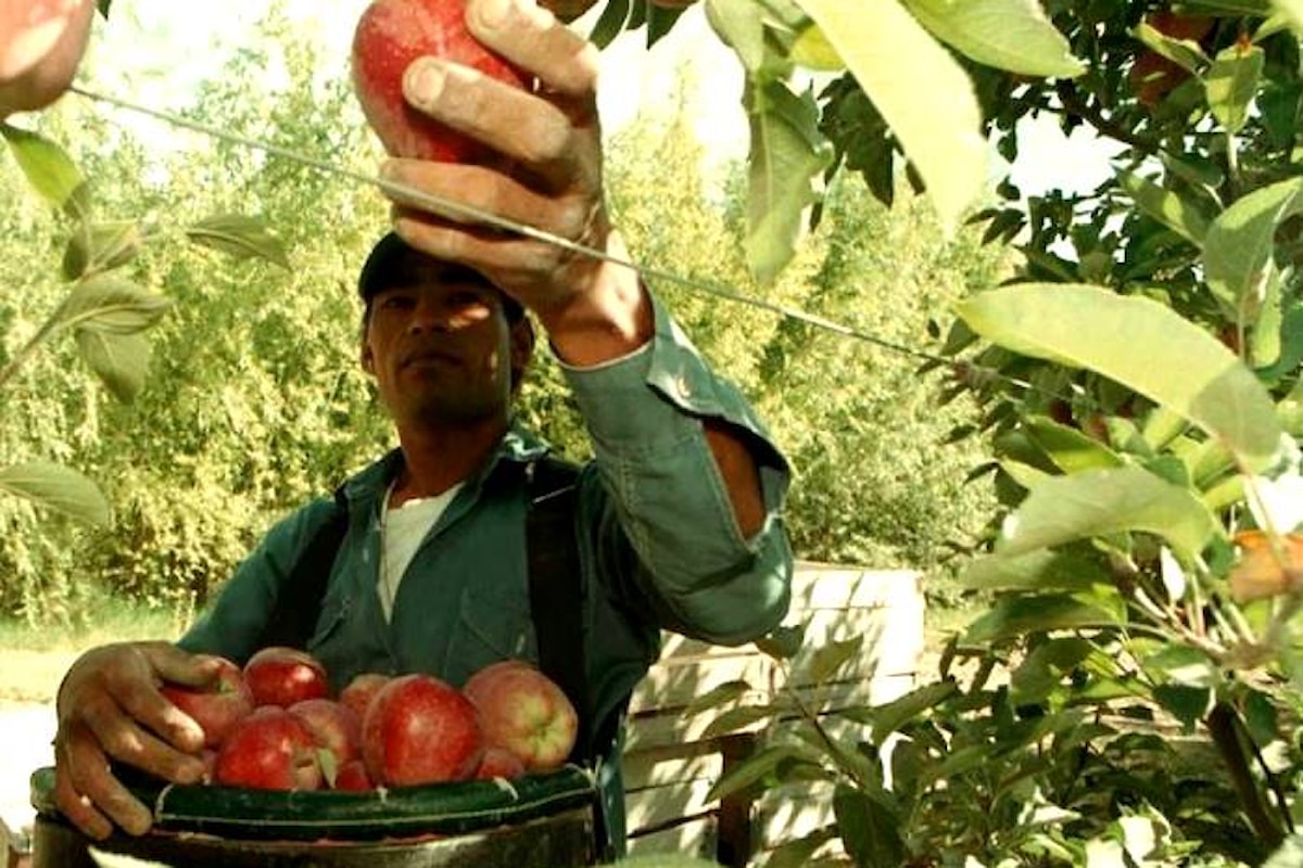 I miracoli di Renzi si scontrano con i dati reali dell'Inps relativi all'Osservatorio sul Precariato