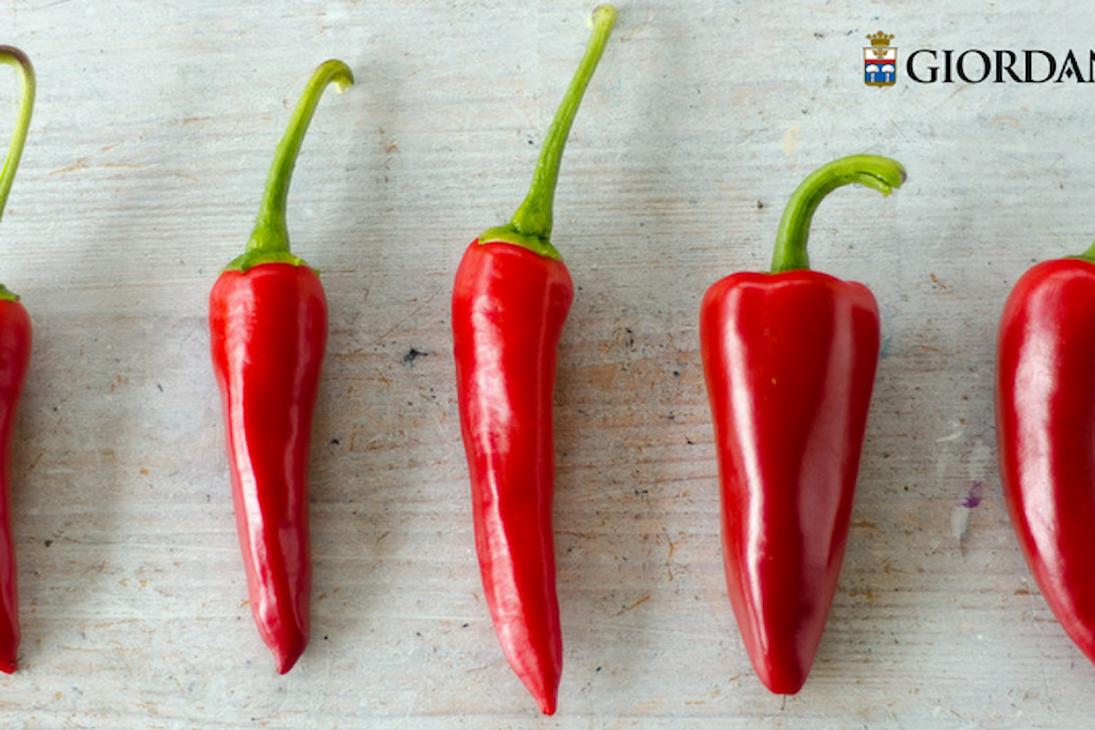 Star bene con gusto: il peperoncino, ingrediente piccante di un'alimentazione sana e focosa!