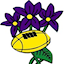 Amatori Parma Rugby